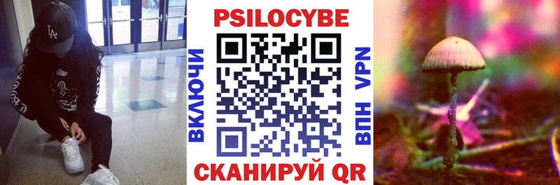 Псилоцибиновые грибы мицелий сколько стоит Серпухов
